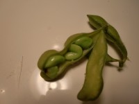 edamame